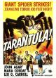 Tarantula