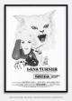 Sheba
